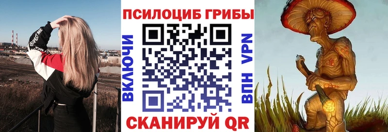 Псилоцибиновые грибы Psilocybe  Исилькуль 